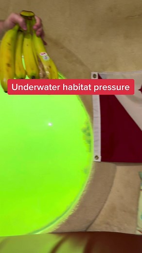 Exploring the Impact of Ocean Pressure on Undersea Life