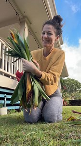 How I was taught to prep ti leaf for lei… you can also iron, microwave, steam the leaves. Let me know how it goes! #tileaf #tileaflei #tileafprep | Malika Dudley
