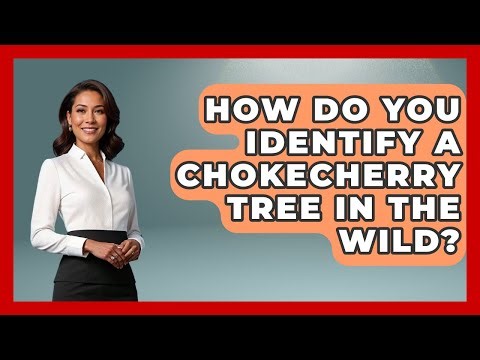 How Do You Identify A Chokecherry Tree In The Wild? - Exploring Campgrounds