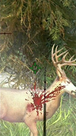 Hunting Clash game gameplay part 1 #shorts #huntingclash #gamingshorts #trending #viral