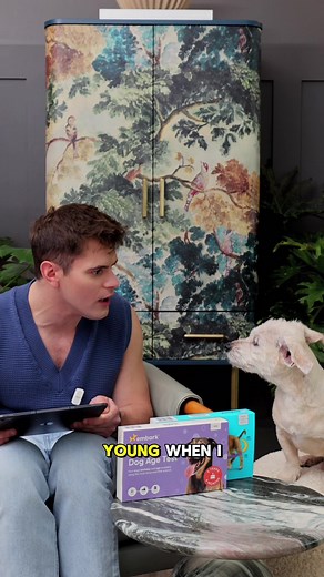 Understanding Your Dog’s Needs with Embark DNA Tests