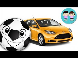 Mingea de Fotbal Bo a facut o boroboata - Poznasul Bo si Marcile de Masini