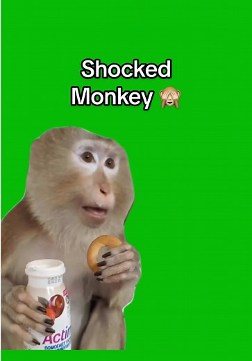 Shocked Monkey Meme Green Screen Template for CapCut