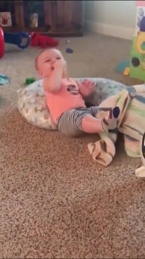 Baby laughs until they fall over. #babyfunnylaughing #cutetoddler #funnybaby