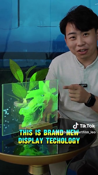 Innovative Transparent Display Film for Modern Technology