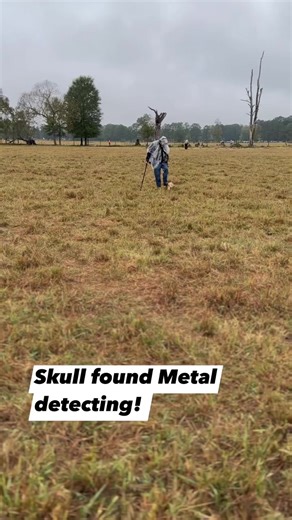 103K views · 630 reactions | Metal Detecting in the rain when we find a skull! #metaldetecting#skull #metaldetect | Adventure Archaeology And Southern Diggers | Facebook