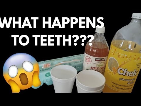 Easy Homeschool Science Experiment: How sugar & acid Affect Your Teeth (Using Eggs!) K-1st grade