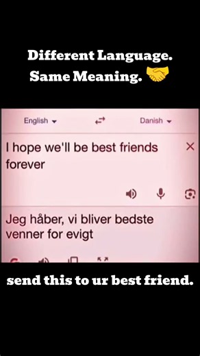 Different Languages, Same Meaning 🤝❤️ Tag your forever best friend 🫂❤️ #shorts