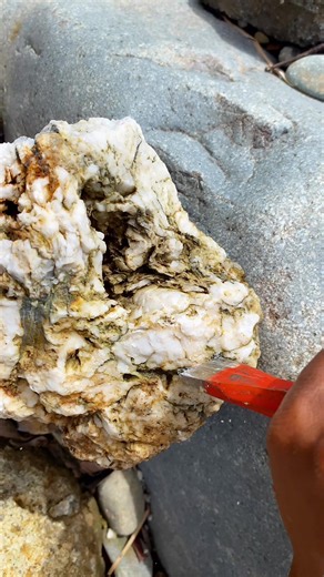 Exploring White Quartz Stones for Gold Discovery