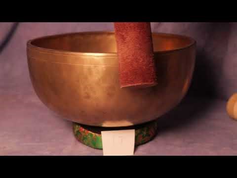 ANDREY #8 NOV 10 2025