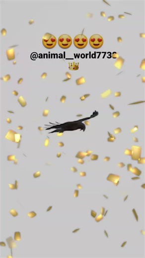 Daily Spirit-Led Motivation for Growth and Mindset