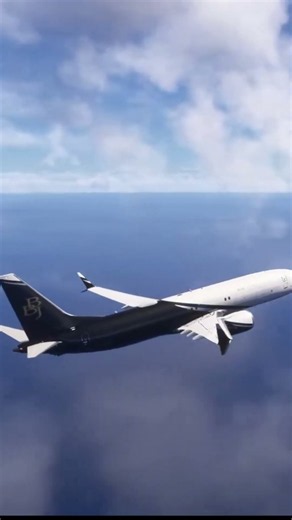 LUXURY VIP JET ISLAND HOP! Boeing 737-8 BBJ Ishigaki to Naha! [MSFS 2024]