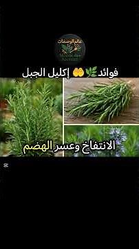 فوائد إكليل الجبل ✍️🌿 #وصفات_صحية #نباتي #ixploreاكسبلور