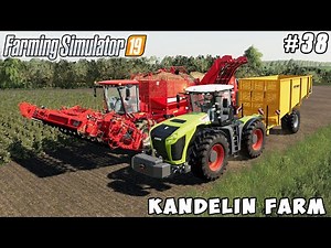 Harvesting potatoes, building potatohall | Kandelin Farm | Farming simulator 19 | Timelapse #38