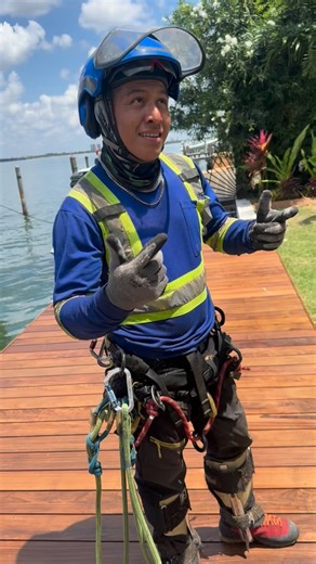 Gusmel Franco | Tree service in Miami on Instagram: "Franco Brothers LLC 🌳💪Tree Service • Junk Removal • Lawn Care • Fencing • Concrete • stump removal. 7862816468 ☎️ #treeservice #stumpgrinding #junkremoval"