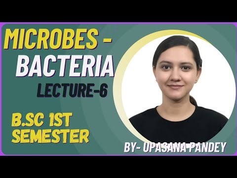 Conjugation in Bacteria | Sexual reproduction | Recombination | BSc 1st Semester Botany