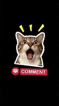 Ranking Funny Scribble Drawings Part 2 #funny