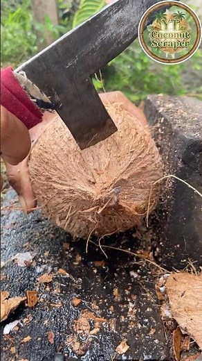 Good tool for opening coconut from the shell