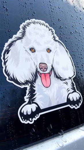 Poodle Stickers Every Poodle Mom Needs - Premium & Durable!