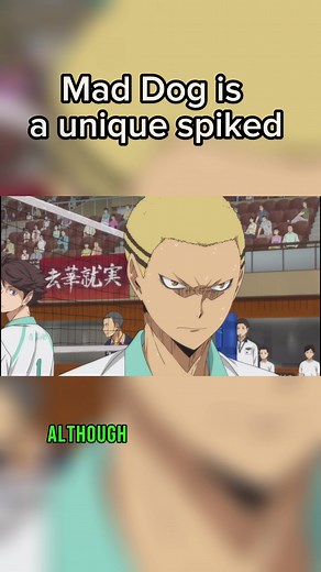 animealchemy50 on TikTok