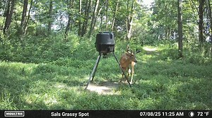 10K views · 189 reactions | Anyone else checking their Moultrie app constantly for antler growth... or is it just me?  : Cody Heckber | Moultrie Products | Facebook