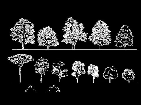 Trees designs in autocad