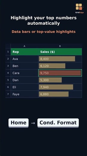 Excel Conditional Formatting — Data Bars and Top-Value Highlights