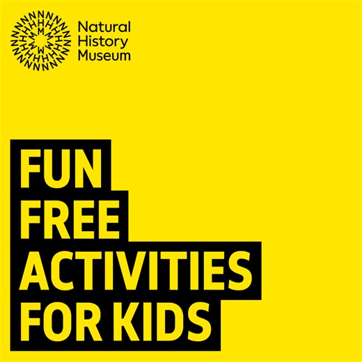 5.5K views · 39 reactions | Make, play, explore. Help your children discover nature in your local area this summer  | Natural History Museum, London | Facebook