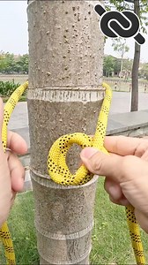 The EASIEST way to tie Bowline - King of Knots #knot #knotshort #lifehacks #tips #tricks | KNOT SHORT