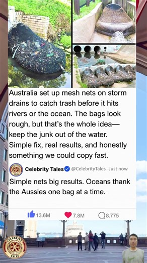 Australia's mesh drain nets trap tons of plastic before it reaches rivers and sea