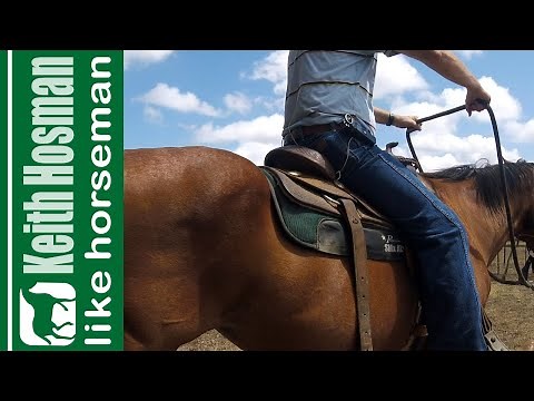 6 Rein-Handling Tips in 6 Minutes (SNAFFLE BITS ONLY)