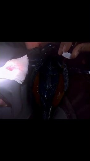 Well that didn't work! | Stargate Atlantis SGA