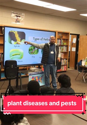 Understanding Garden Pests: Protecting Your Plants