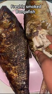 Freshly smoked Bongafish + salt +pepper +chilled water and garri = Satisfaction #richeysfoods #bongafish #fypviralシ #fblifestyle #fbreelsfyp | Racheal Olugbuyi | Facebook