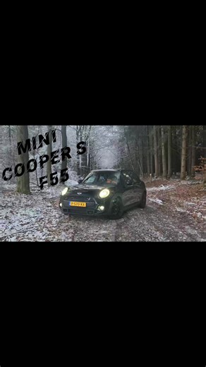 mini cooper s f55 best edit in my opinion #hothatch #rallydriver #petrolhead #kurwarakettaa #fyp