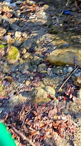 The Small Gold Sluice Box and Its Results #goldprospecting #goldmines #goldhunter #goldpanning #goldpan #goldrush #goldnugget #usa #american #america | GOLD Hunter 1