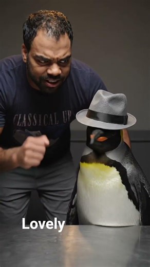 cutie se baat karate