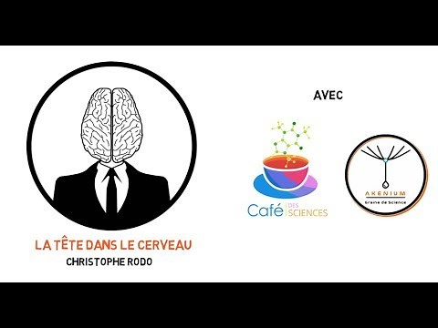 Neuromythe : les styles d'apprentissage