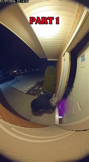 Doorbell Camera Captures Home Intruder Purple Powder Explosion #funny #instantkarma