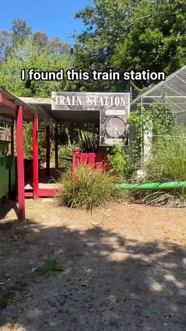 Animals left behind in abandoned zoo