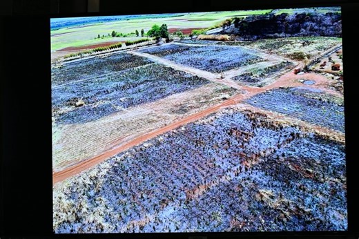 Honolulu Fire Department on Reels