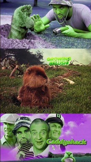 ⛳ Bill Murray Caddyshack #caddyshack #snl #billmurray #golf #critter #golfswing #golflife #funny