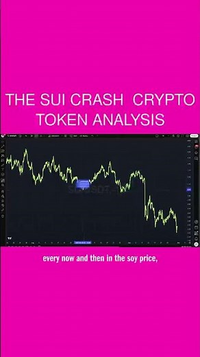 The Sui Crash 💀 Crypto Token Analysis