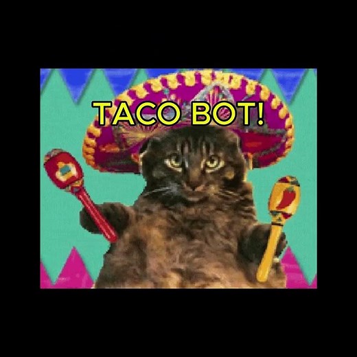 Taco Bot 3000 by Cats!! 😲#tacos #parrygripp