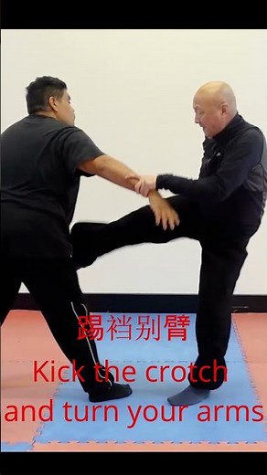 "Quick Takedown: Groin Kick & Arm Lock Technique"踢裆别臂 #chin_na #martialarts