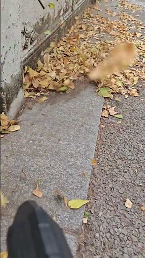 Vogma V9s Electric Air Duster – 8-Gear Adjustable, 200,000 RPM Power