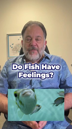 Do Fish Have Feelings? Do fish truly experience feelings? The question of whether fish experience feelings is a fascinating one, with evidence supporting both sides of the argument. In essence, feelings can be defined as emotional states such as happiness or sadness, or even the capacity for thought. While a fish may not possess the ability to think in the way humans do, it certainly reacts to stimuli in its environment. For instance, if a live fish were to be placed in a frying pan, it would un