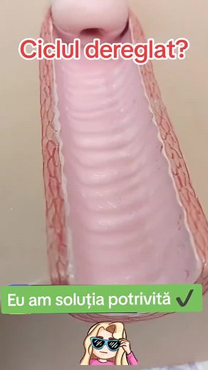 Exploring Digestive Models in Biology Education