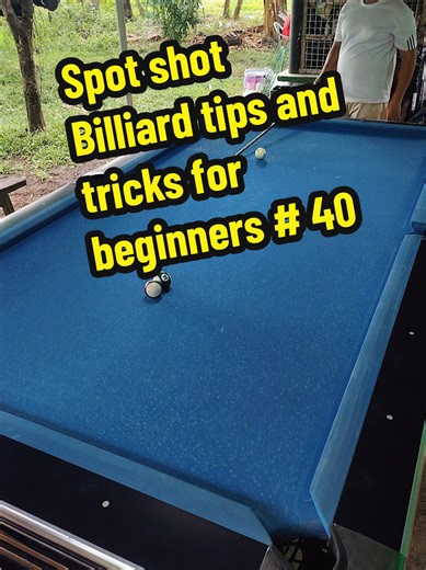Billiard Tips and Tricks for Beginners: Spot Shot Guide