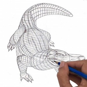 947K views · 50K reactions | How to draw a Caiman Step by step ... | Veri Apriyatno Artist | Facebook